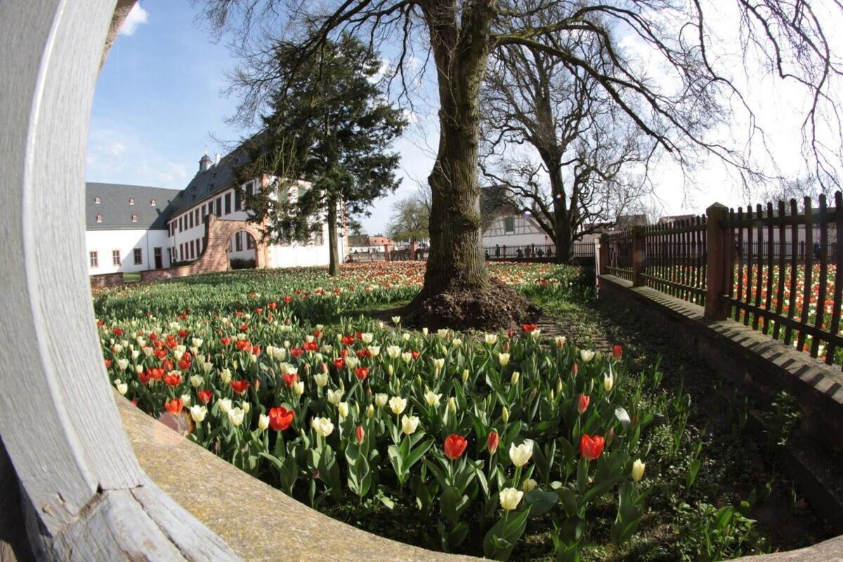 Altstadtglueck Seligenstadt Exteriör bild